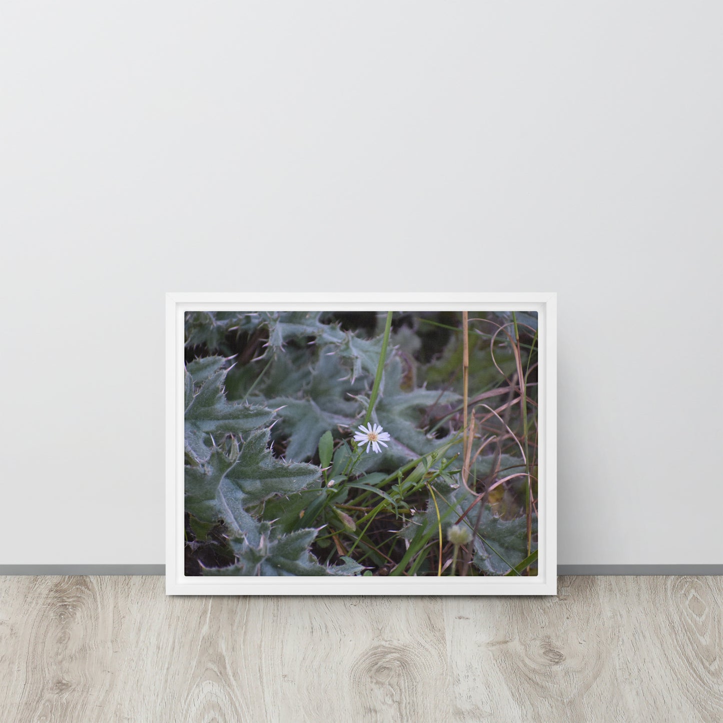 Cactus with white flower Framed Canvas