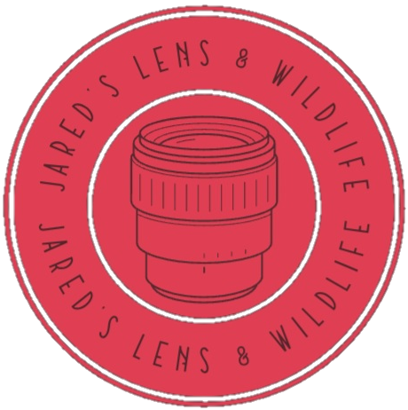 Jared's Lens & Wildlife 