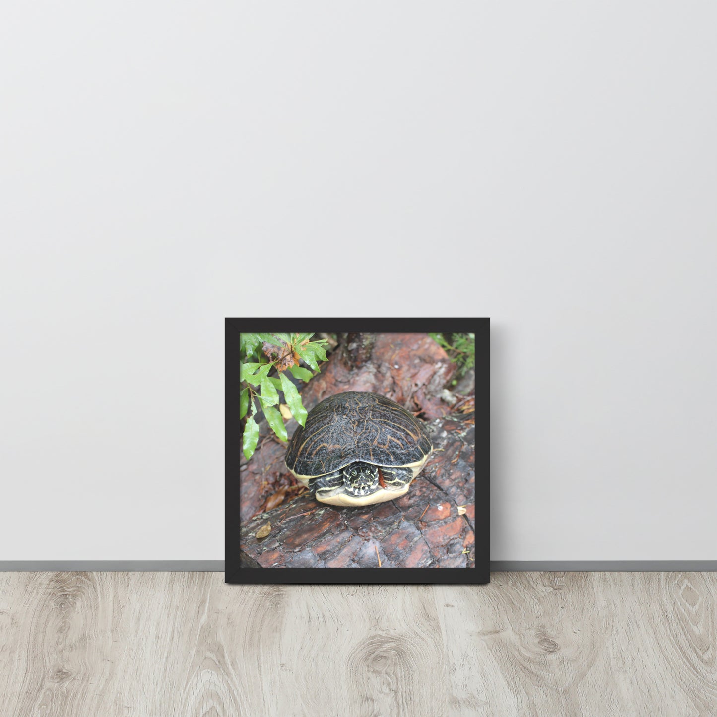 Turtle Framed poster