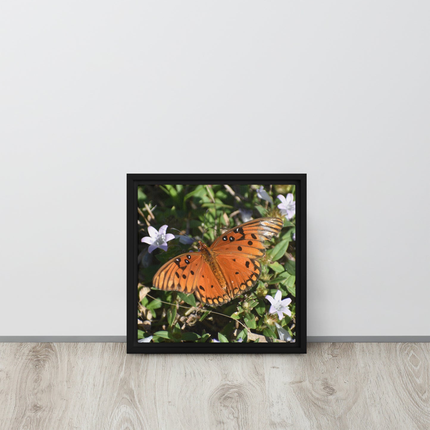 Framed canvas