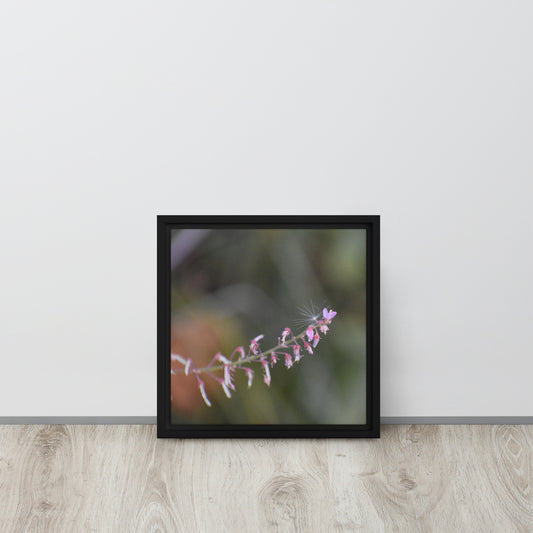 Beautiful flowers Framed canvas