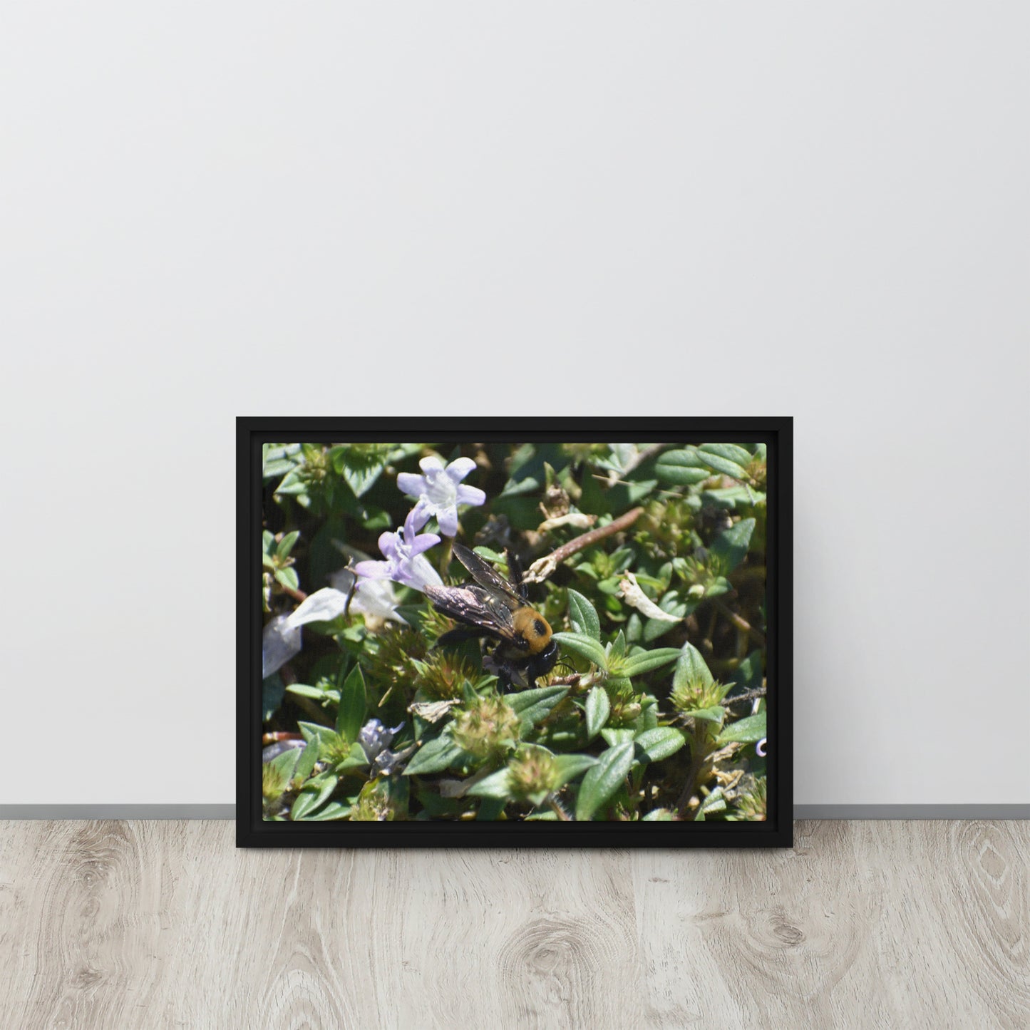 Bee In Flower Framed canvas