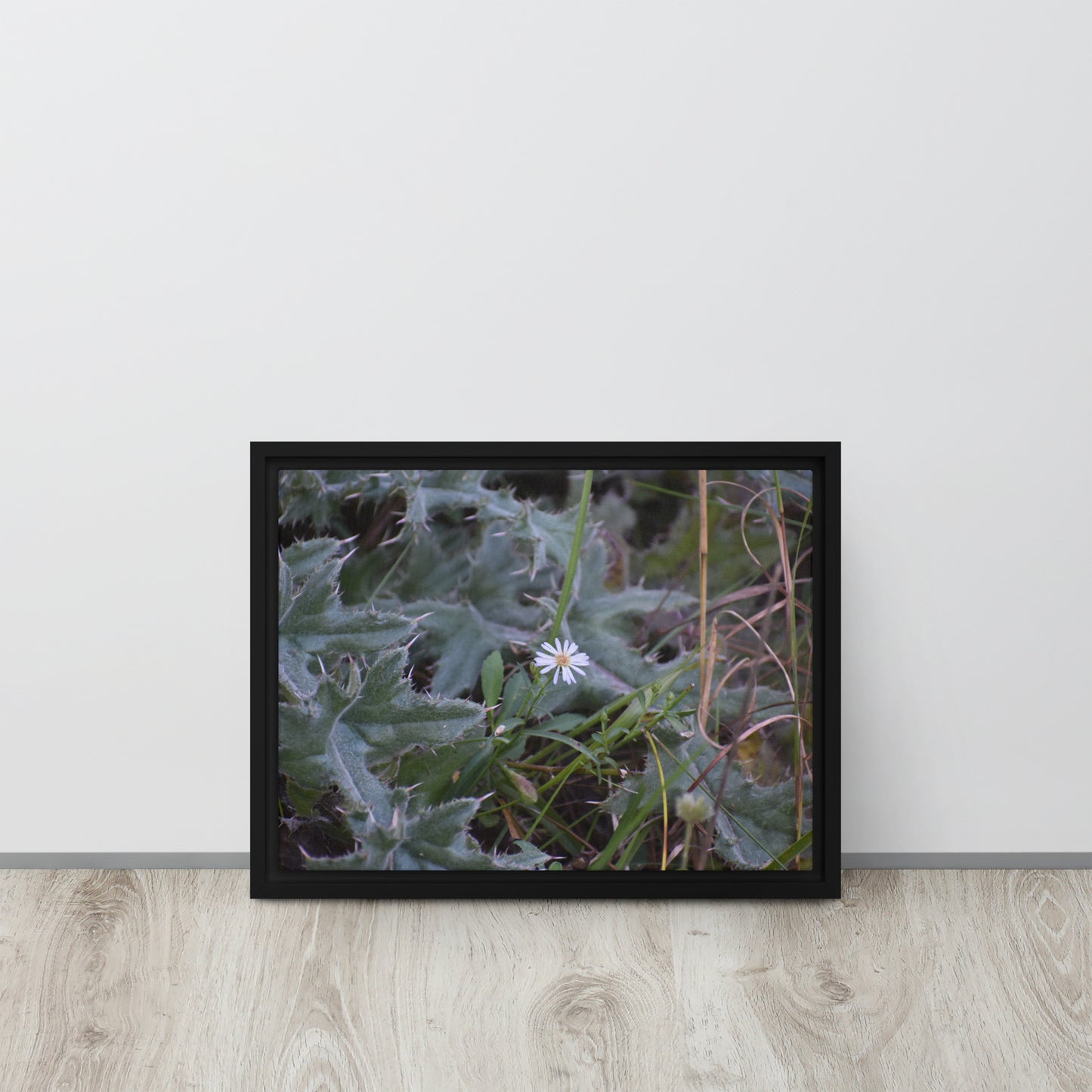 Cactus with white flower Framed Canvas