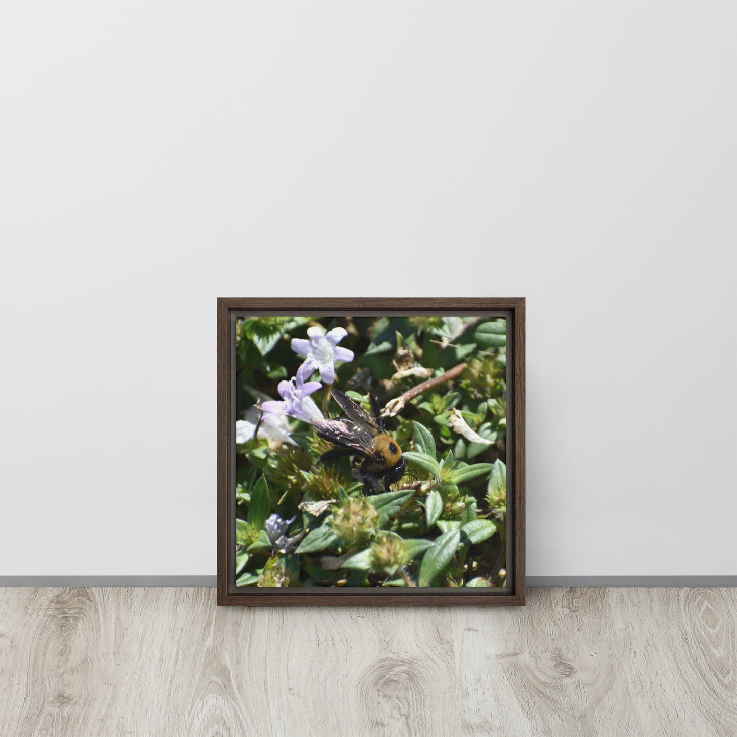 Bee In Flower Framed canvas