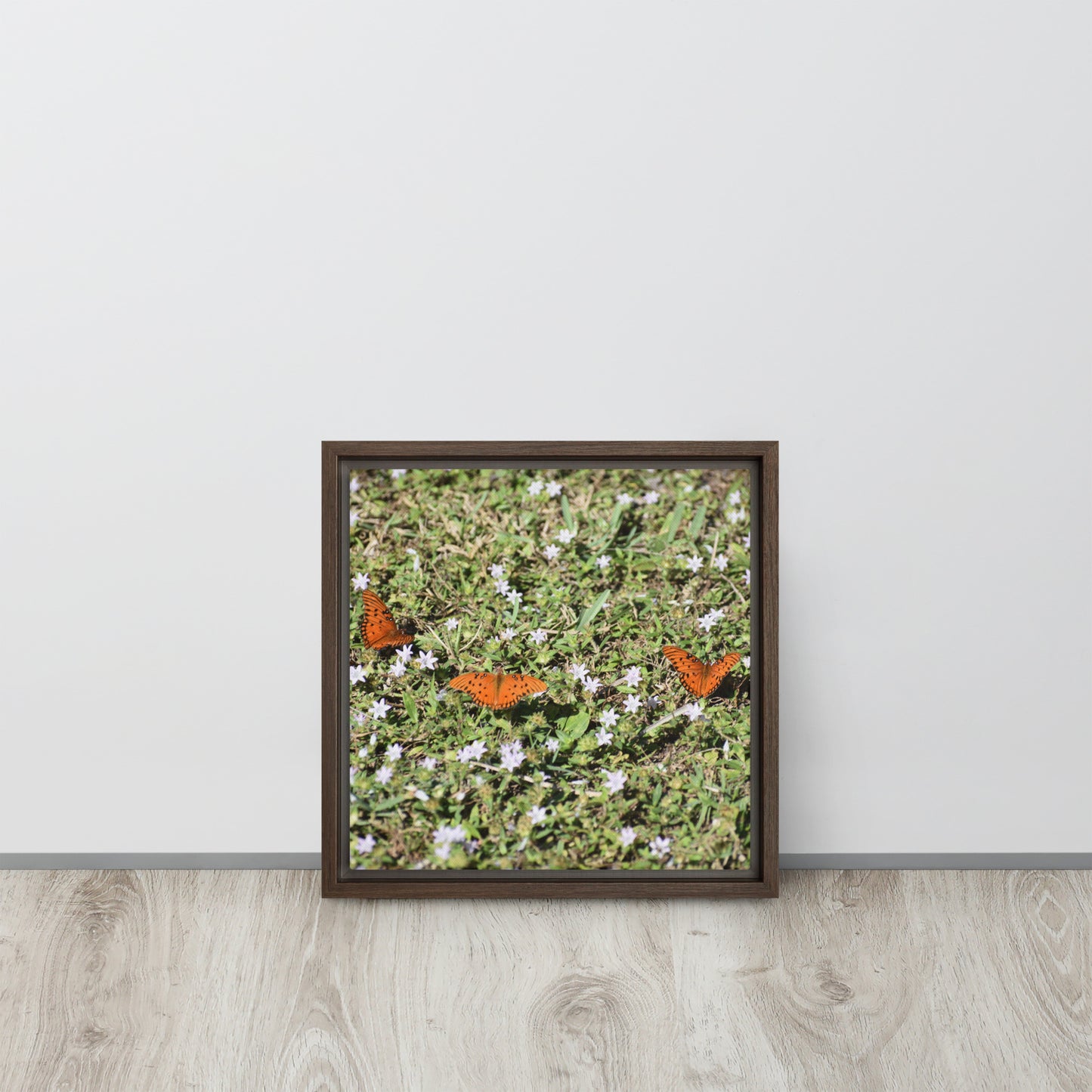 3 Butterflies Framed canvas