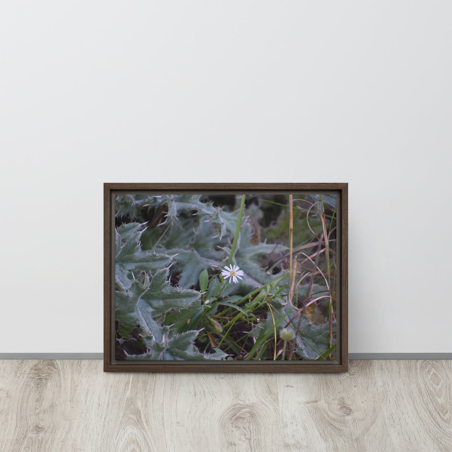 Cactus with white flower Framed Canvas