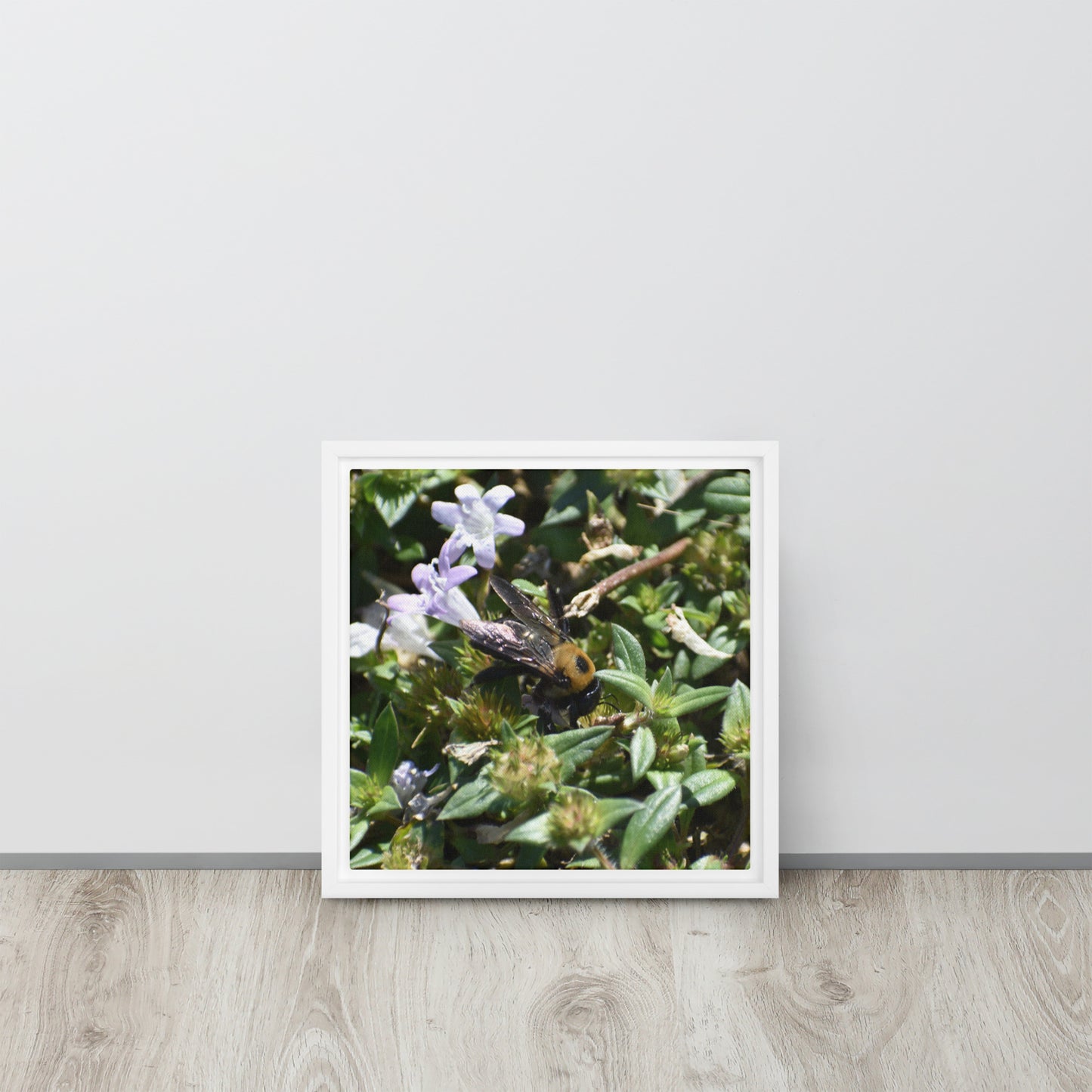 Bee In Flower Framed canvas