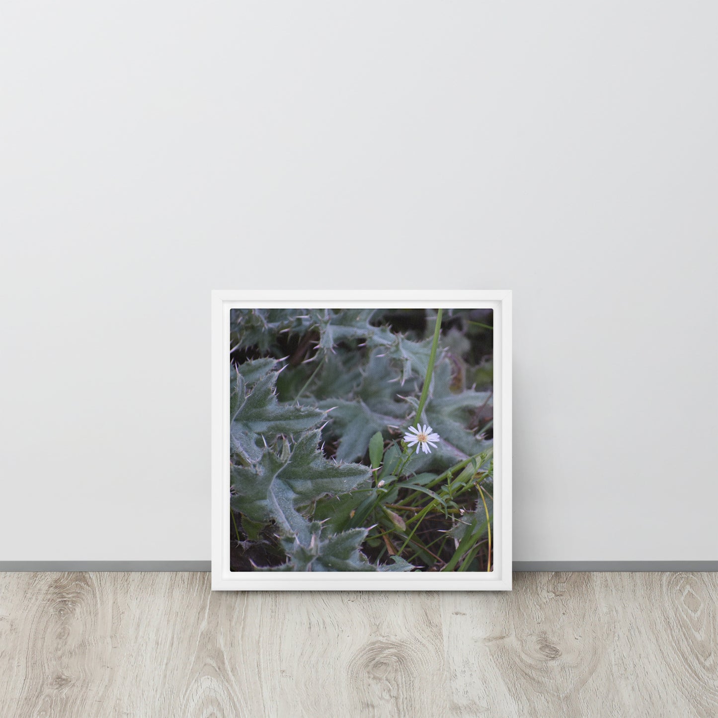 Cactus with white flower Framed Canvas
